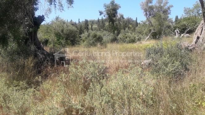 Οικόπεδο στην Παρέλι, Κέρκυρα — Φωτογραφία 7 από 11