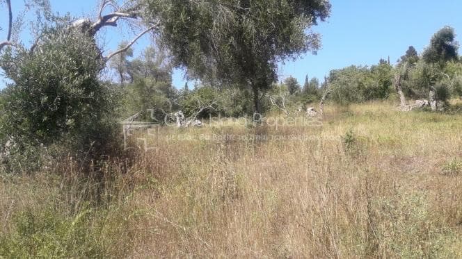Οικόπεδο στην Παρέλι, Κέρκυρα — Φωτογραφία 6 από 11