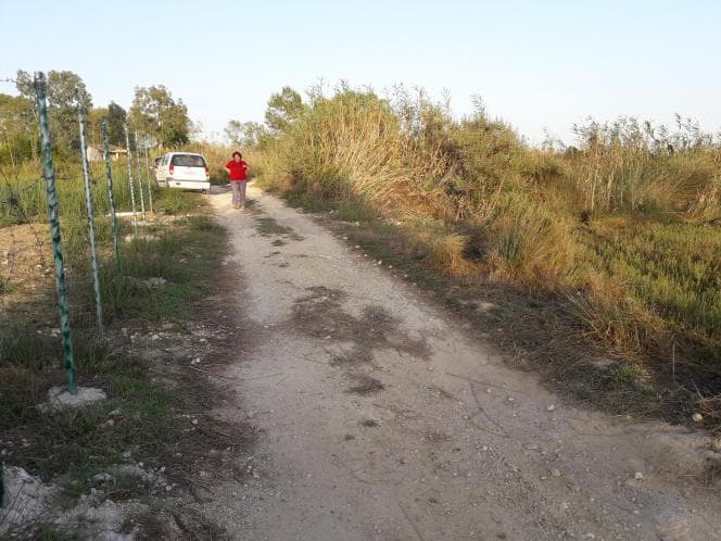 Parcel in Pareli, Corfu — Photo 5 of 17