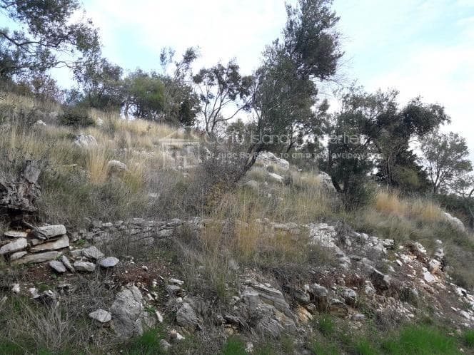 Οικόπεδο στην Φαίακες, Κέρκυρα — Φωτογραφία 16 από 27
