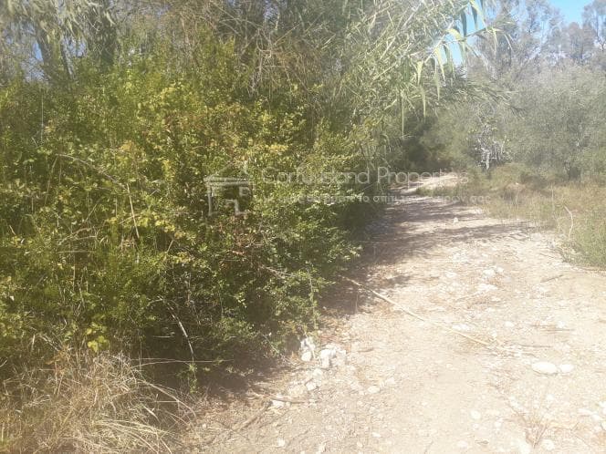 Οικόπεδο στην Μελιτειέοι, Κέρκυρα — Φωτογραφία 20 από 20