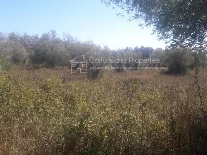 Building Plot in Melitieoi, Corfu — Photo 1 of 13