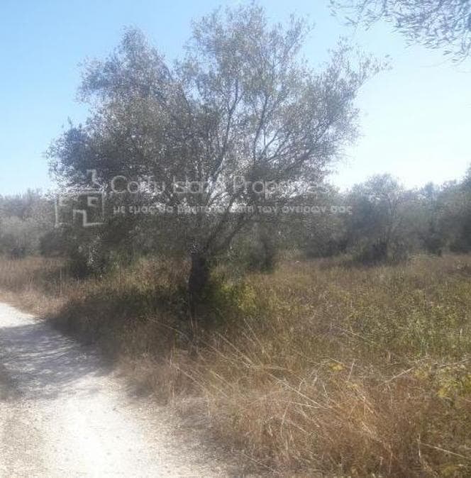 Building Plot in Melitieoi, Corfu — Photo 8 of 13