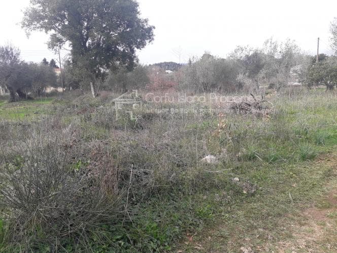 Οικόπεδο στην Παρέλι, Κέρκυρα — Φωτογραφία 14 από 30