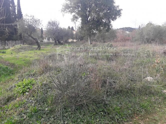 Οικόπεδο στην Παρέλι, Κέρκυρα — Φωτογραφία 9 από 30