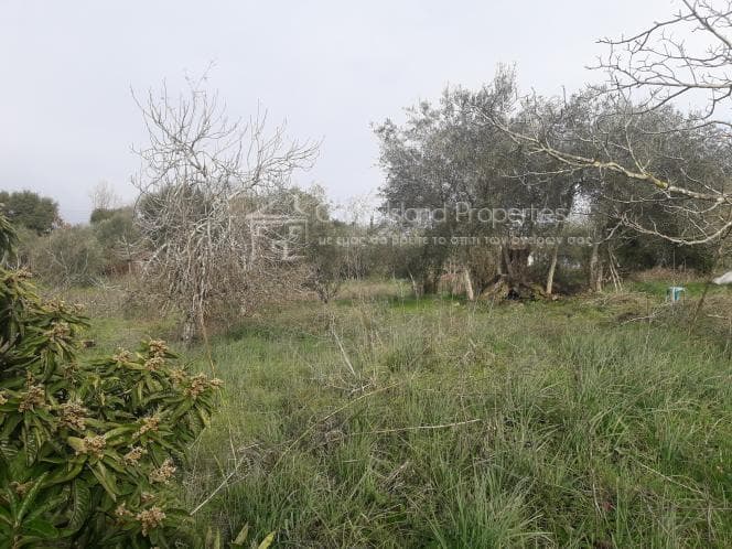 Οικόπεδο στην Παρέλι, Κέρκυρα — Φωτογραφία 28 από 30