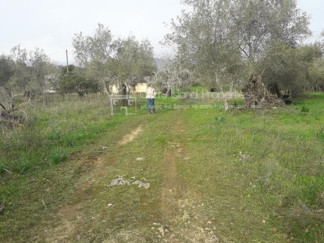 Οικόπεδο στην Παρέλι, Κέρκυρα — Φωτογραφία 5 από 30