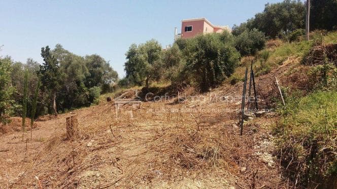 Οικόπεδο στην Αχίλλειο, Κέρκυρα — Φωτογραφία 8 από 20