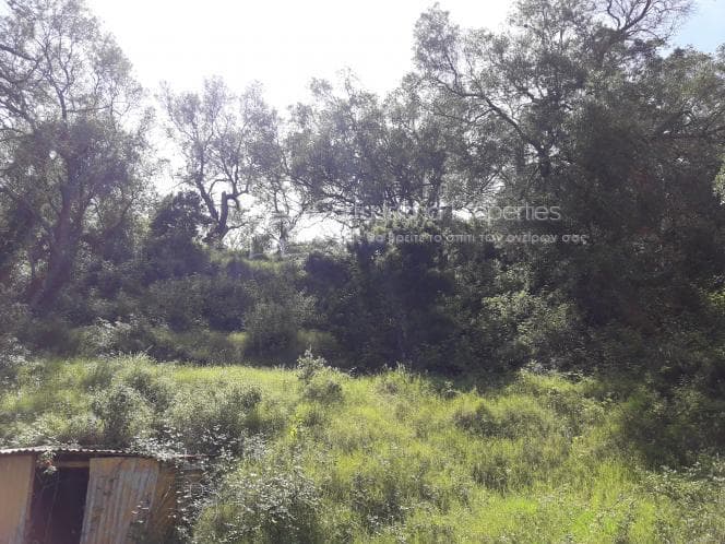 Οικόπεδο στην Αχίλλειο, Κέρκυρα — Φωτογραφία 24 από 28