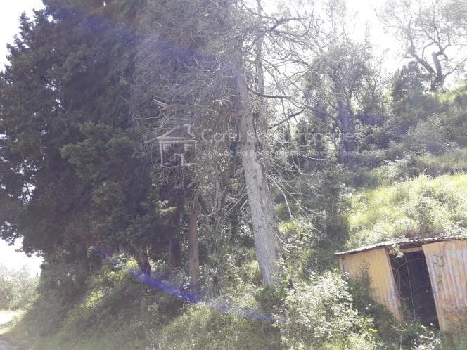 Οικόπεδο στην Αχίλλειο, Κέρκυρα — Φωτογραφία 23 από 28