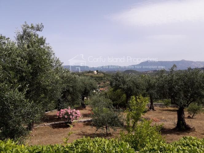 House in Pareli, Corfu — Photo 26 of 30