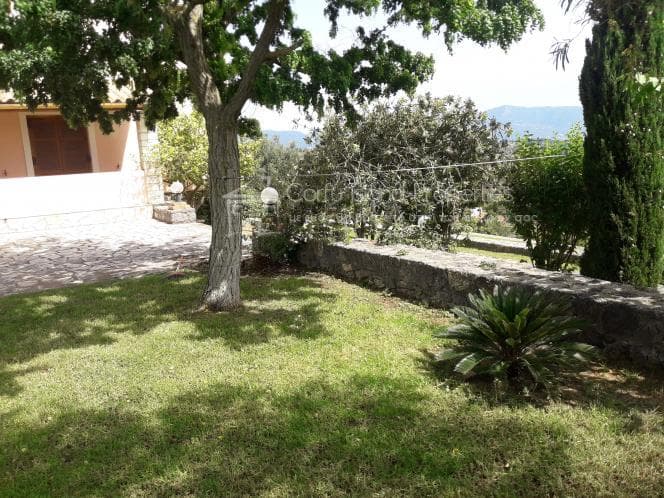House in Pareli, Corfu — Photo 23 of 30