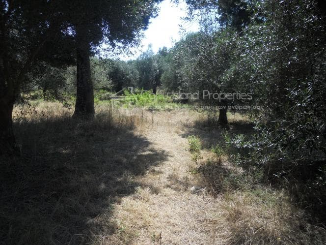 Οικόπεδο στην Κασσιόπη, Κέρκυρα — Φωτογραφία 3 από 6