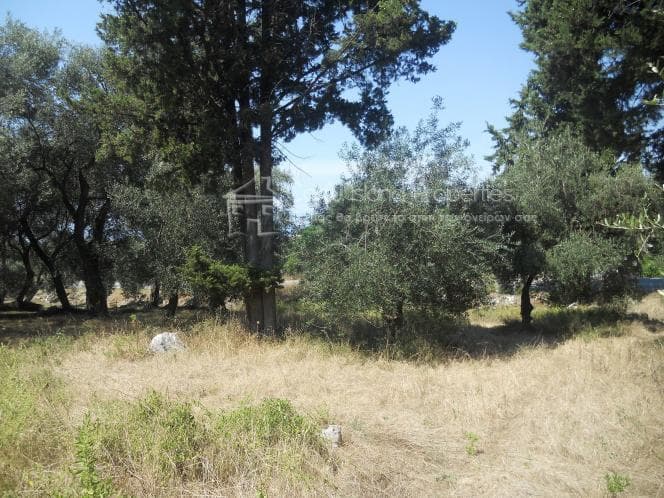 Οικόπεδο στην Κασσιόπη, Κέρκυρα — Φωτογραφία 4 από 6