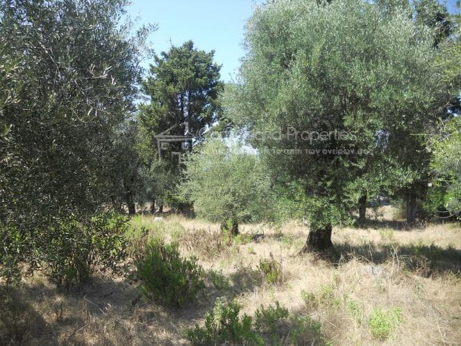 Οικόπεδο στην Κασσιόπη, Κέρκυρα — Φωτογραφία 6 από 6