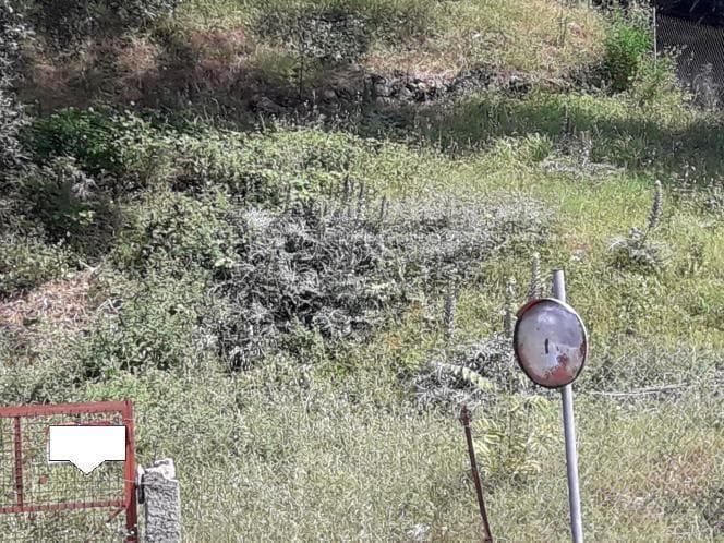 Οικόπεδο στην Αχίλλειο, Κέρκυρα — Φωτογραφία 12 από 17