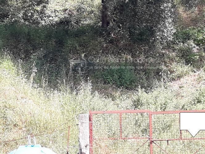 Οικόπεδο στην Αχίλλειο, Κέρκυρα — Φωτογραφία 13 από 17
