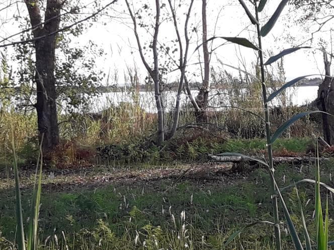 Οικόπεδο στην Μελιτειέοι, Κέρκυρα — Φωτογραφία 8 από 30