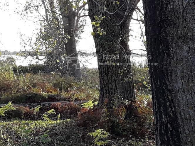 Οικόπεδο στην Μελιτειέοι, Κέρκυρα — Φωτογραφία 15 από 30