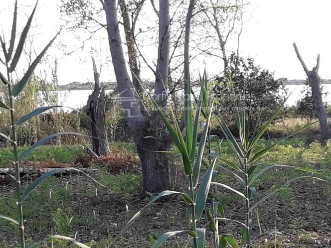 Οικόπεδο στην Μελιτειέοι, Κέρκυρα — Φωτογραφία 7 από 30