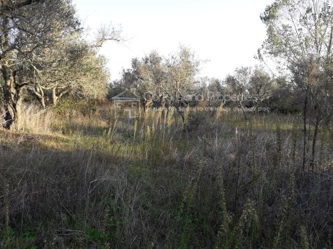 Οικόπεδο στην Μελιτειέοι, Κέρκυρα — Φωτογραφία 26 από 30