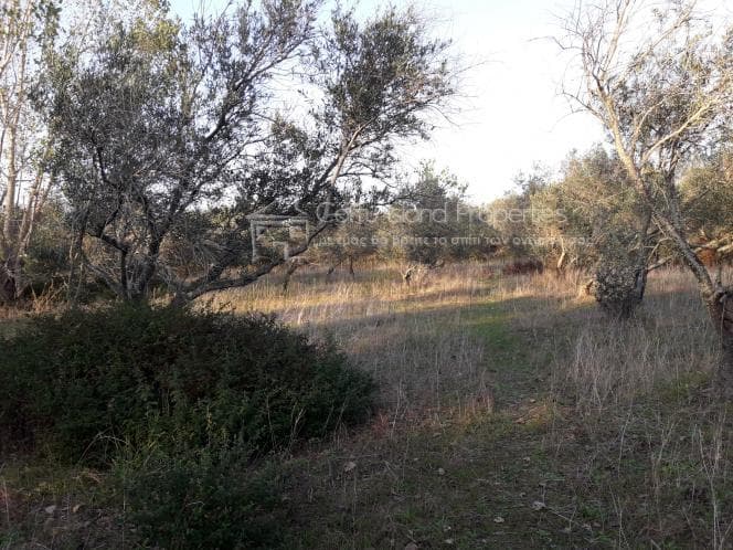 Οικόπεδο στην Μελιτειέοι, Κέρκυρα — Φωτογραφία 29 από 30