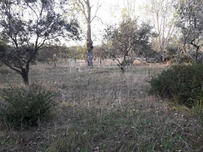 Οικόπεδο στην Μελιτειέοι, Κέρκυρα — Φωτογραφία 30 από 30