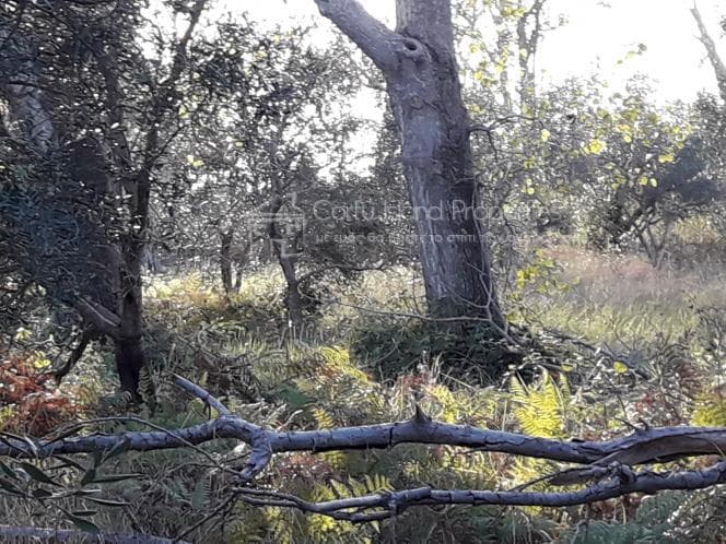 Οικόπεδο στην Μελιτειέοι, Κέρκυρα — Φωτογραφία 25 από 30