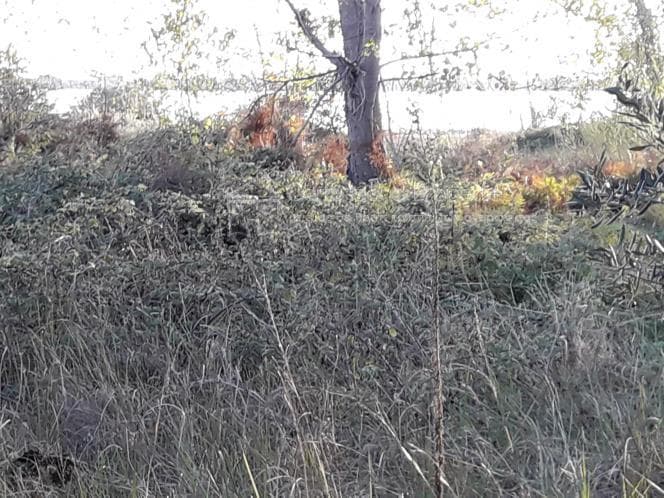 Οικόπεδο στην Μελιτειέοι, Κέρκυρα — Φωτογραφία 23 από 30