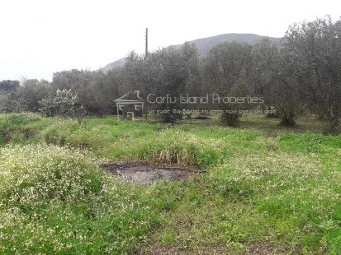 Οικόπεδο στην Μελιτειέοι, Κέρκυρα — Φωτογραφία 10 από 17