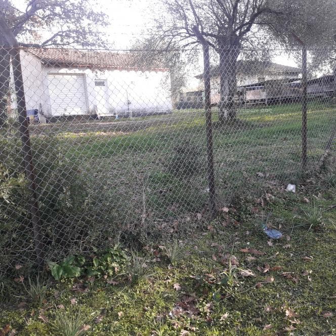 Οικόπεδο στην Παρέλι, Κέρκυρα — Φωτογραφία 10 από 10