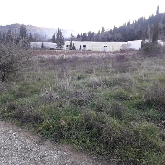 Οικόπεδο στην Φαίακες, Κέρκυρα — Φωτογραφία 4 από 13