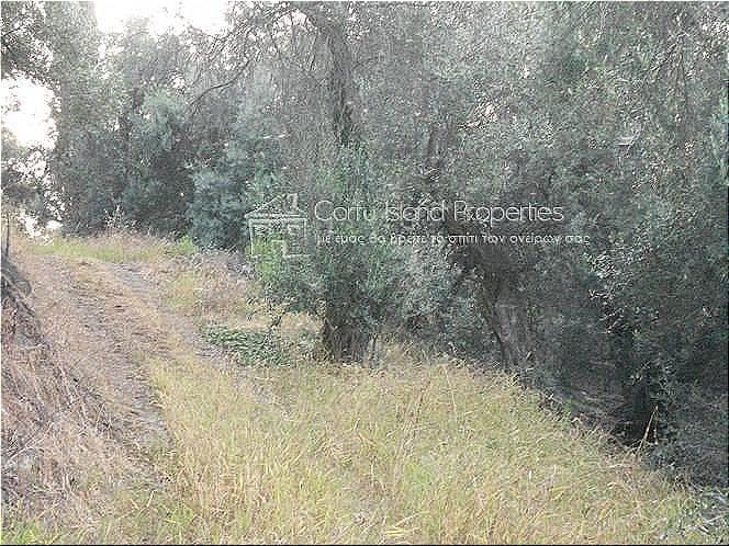 Οικόπεδο στην Κασσιόπη, Κέρκυρα — Φωτογραφία 7 από 9
