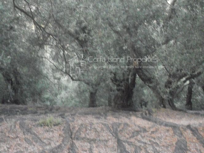 Οικόπεδο στην Κασσιόπη, Κέρκυρα — Φωτογραφία 8 από 9