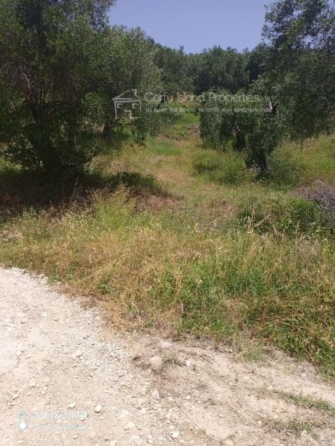 Building Plot in Kassiopi, Corfu — Photo 2 of 15