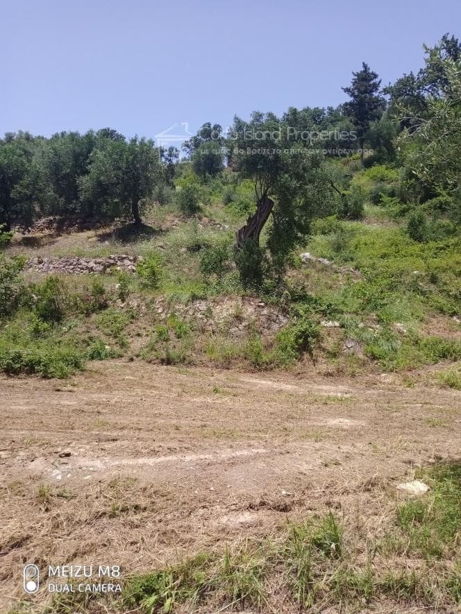 Building Plot in Kassiopi, Corfu — Photo 3 of 15