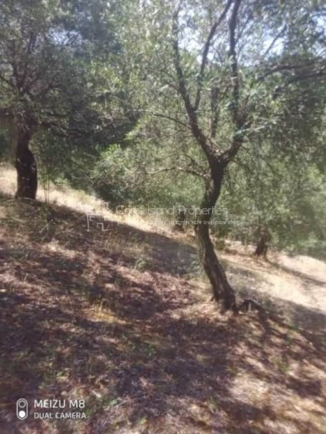 Building Plot in Kassiopi, Corfu — Photo 8 of 15