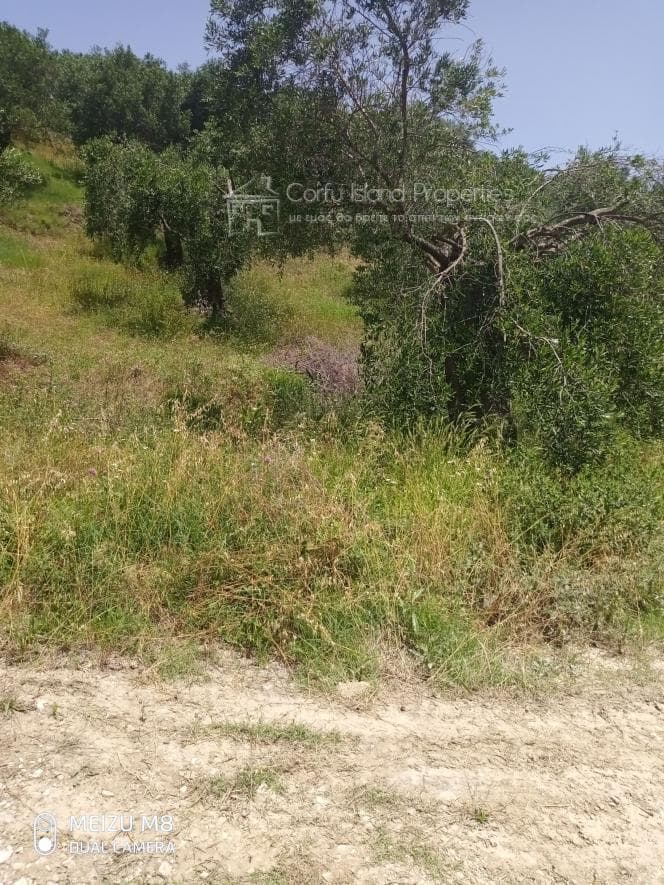 Building Plot in Kassiopi, Corfu — Photo 4 of 15