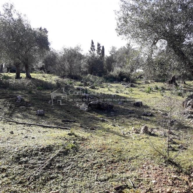 Building Plot in Othonoi, Corfu — Photo 5 of 19