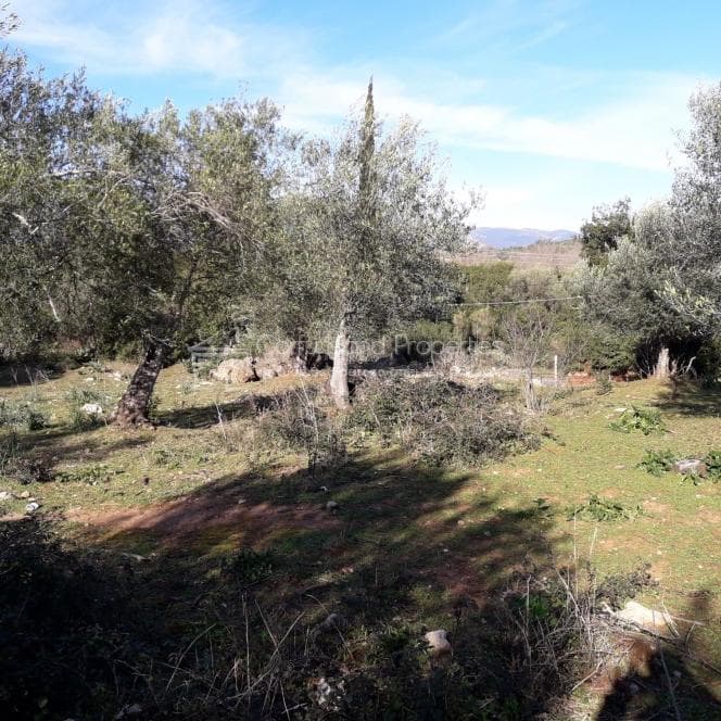 Building Plot in Othonoi, Corfu — Photo 7 of 19