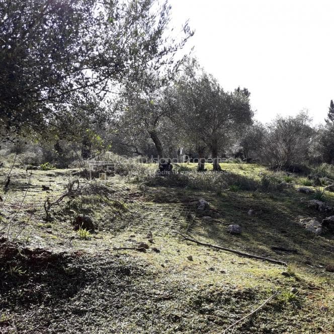 Building Plot in Othonoi, Corfu — Photo 17 of 19