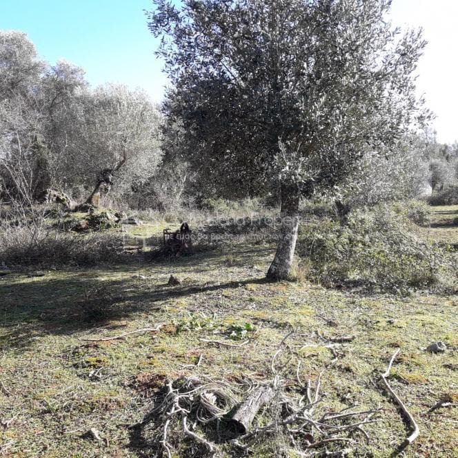 Building Plot in Othonoi, Corfu — Photo 13 of 19