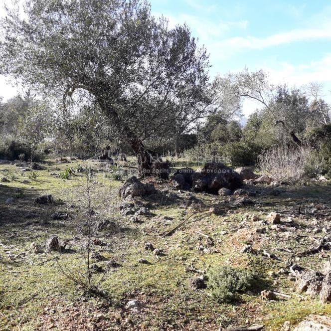 Building Plot in Othonoi, Corfu — Photo 19 of 19