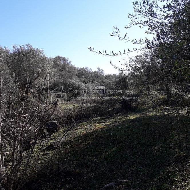 Building Plot in Othonoi, Corfu — Photo 18 of 19