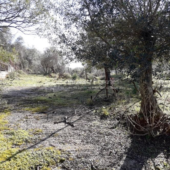 Building Plot in Othonoi, Corfu — Photo 6 of 19