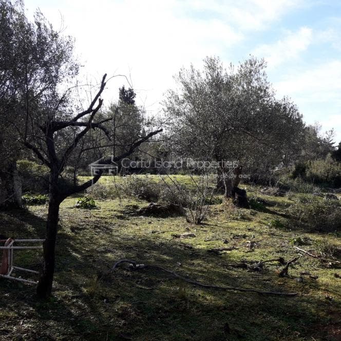 Building Plot in Othonoi, Corfu — Photo 8 of 19