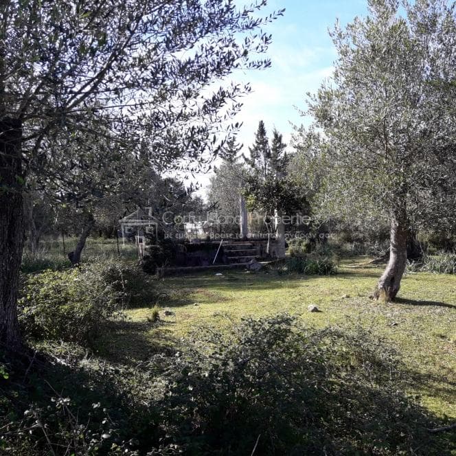 Building Plot in Othonoi, Corfu — Photo 2 of 19