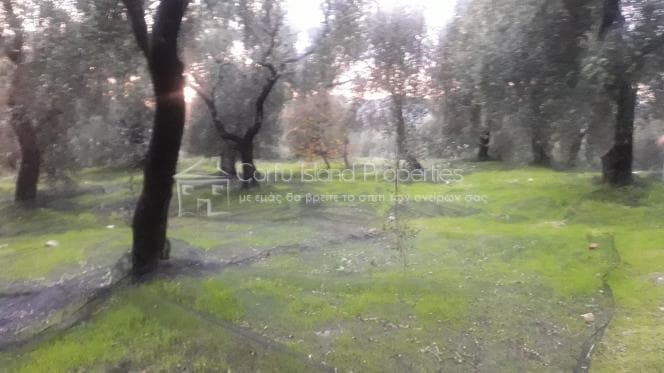Building Plot in Faiakes, Corfu — Photo 11 of 17
