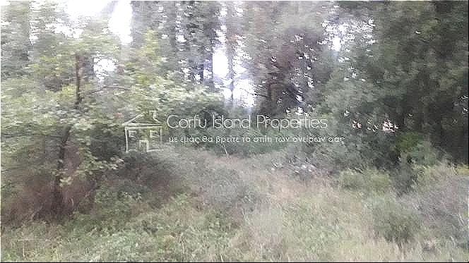 Building Plot in Faiakes, Corfu — Photo 17 of 17