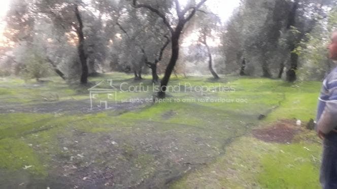 Building Plot in Faiakes, Corfu — Photo 12 of 17